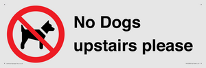 PV12392: No Dogs upstairs please
