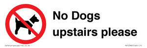 PV12392: No Dogs upstairs please