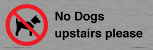 PV12392: No Dogs upstairs please