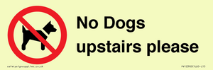 PV12392: No Dogs upstairs please
