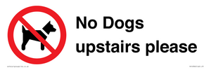 PV12392: No Dogs upstairs please
