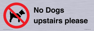 PV12392: No Dogs upstairs please