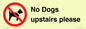 PV12392: No Dogs upstairs please