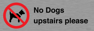 PV12392: No Dogs upstairs please