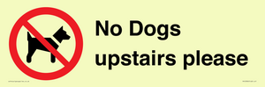 PV12392: No Dogs upstairs please