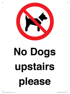 PV12392: No Dogs upstairs please