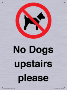 PV12392: No Dogs upstairs please