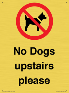 PV12392: No Dogs upstairs please