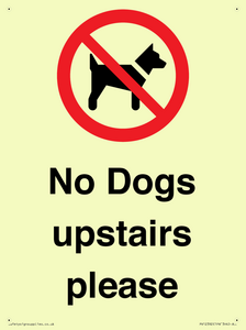 PV12392: No Dogs upstairs please