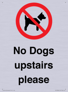 PV12392: No Dogs upstairs please