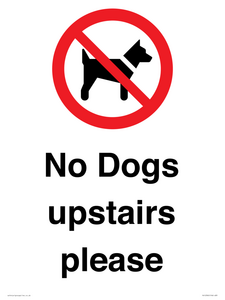 PV12392: No Dogs upstairs please