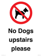 PV12392: No Dogs upstairs please