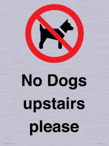 PV12392: No Dogs upstairs please