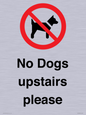 PV12392: No Dogs upstairs please
