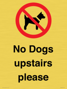 PV12392: No Dogs upstairs please
