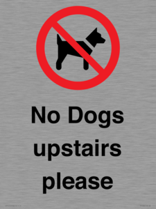 PV12392: No Dogs upstairs please