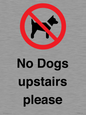 PV12392: No Dogs upstairs please