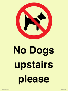 PV12392: No Dogs upstairs please