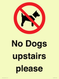PV12392: No Dogs upstairs please