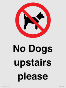 PV12392: No Dogs upstairs please