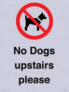 PV12392: No Dogs upstairs please