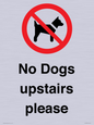 PV12392: No Dogs upstairs please