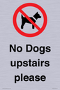 PV12392: No Dogs upstairs please
