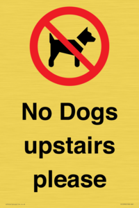 PV12392: No Dogs upstairs please
