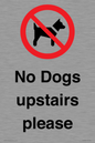 PV12392: No Dogs upstairs please