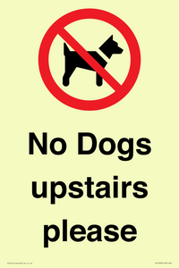 PV12392: No Dogs upstairs please