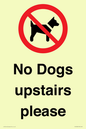 PV12392: No Dogs upstairs please