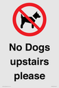 PV12392: No Dogs upstairs please