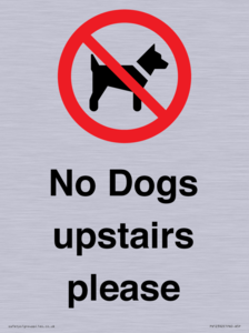 PV12392: No Dogs upstairs please