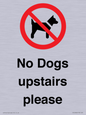PV12392: No Dogs upstairs please