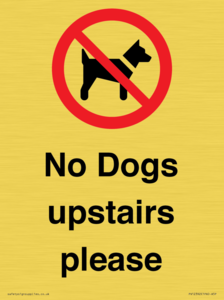 PV12392: No Dogs upstairs please