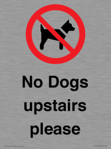 PV12392: No Dogs upstairs please