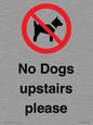 PV12392: No Dogs upstairs please