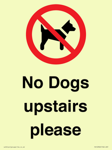 PV12392: No Dogs upstairs please