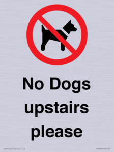 PV12392: No Dogs upstairs please