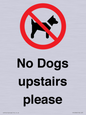 PV12392: No Dogs upstairs please