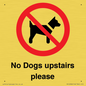 PV12392: No Dogs upstairs please