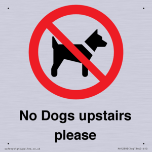 PV12392: No Dogs upstairs please