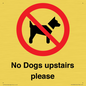 PV12392: No Dogs upstairs please