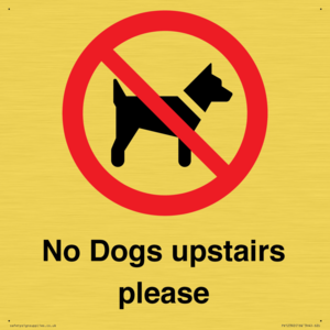 PV12392: No Dogs upstairs please