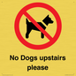 PV12392: No Dogs upstairs please