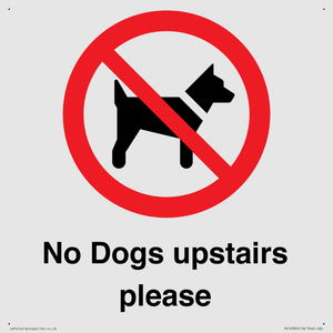 PV12392: No Dogs upstairs please
