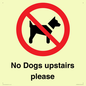PV12392: No Dogs upstairs please