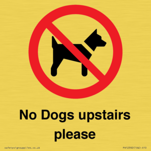 PV12392: No Dogs upstairs please
