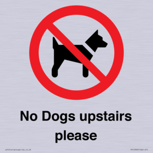 PV12392: No Dogs upstairs please