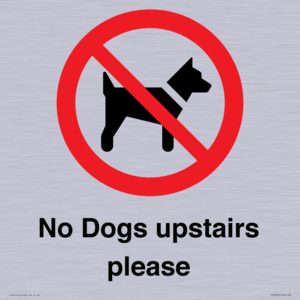 PV12392: No Dogs upstairs please